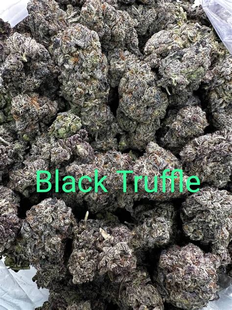 Black truffle weed strain - The Black Truffle strain, also known as Black Truffle weed, is relatively new and is a cross between Gelato 33 and Chocolate Kush. Its name came from its …